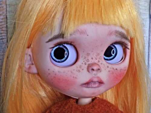 Custom Blythe doll Lucy, Art Collectors Doll